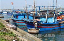 Luồng lạch bị bồi lấp, cảng cá hiện đại thành vô dụng